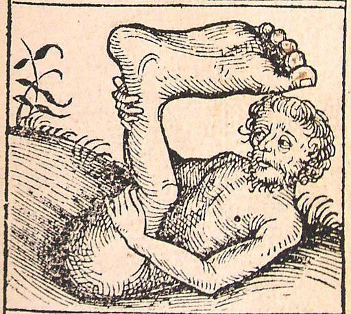 One Legged Throwing Shade: The One-Legged Loner of the Medieval Bestiary ...